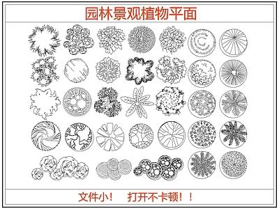 综合植物图库 园林景观植物平面