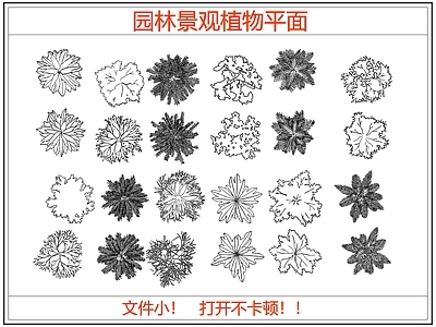 综合植物图库 园林景观植物平面
