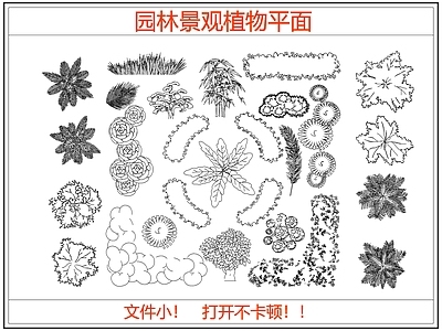 综合植物图库 园林景观植物平面