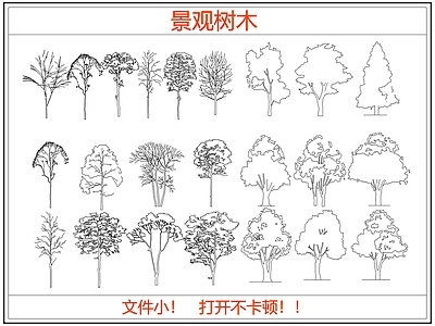 乔木种植 景观树木造型树