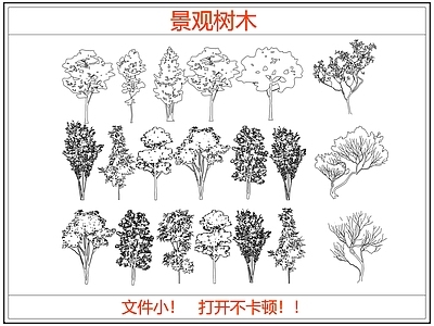 乔木种植 景观树木造型树