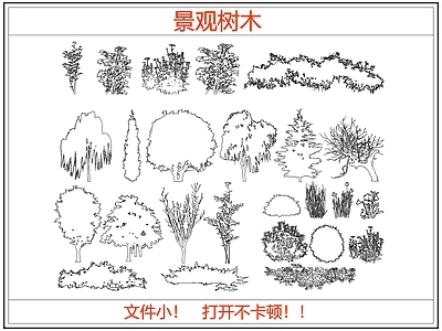 乔木种植 景观树木造型树