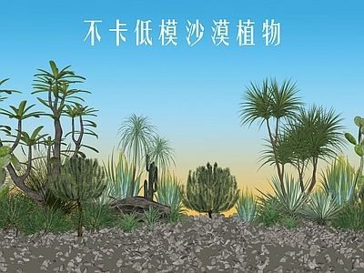 现代沙漠植物 热带沙漠植物 多浆类植物 草花草本 庭院景观植物 仙人掌植物组合