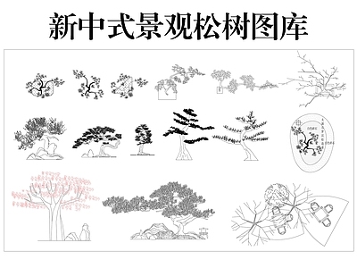 乔木种植 新中式松树图库 景观树
