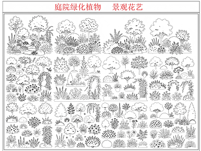 中庭绿化 园艺植物
