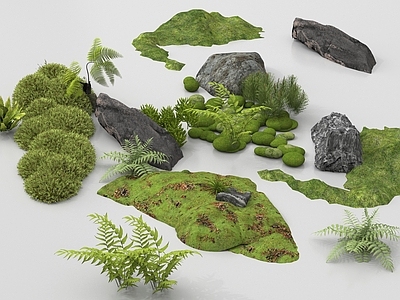 禅意植物组合 微地形组合 石头植物组合