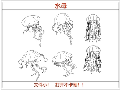 动物 海底海洋生物水母