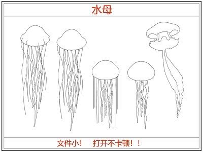 动物 海底海洋生物水母