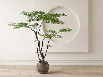 禅意盆景 盆栽绿植盆景陶罐