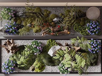 禅意花境 苔藓 植物造景 室内景观 花池 植物堆