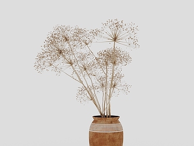 侘寂花艺