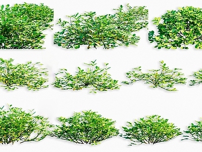 null花草组合 花生农作物 花生植物绿植 花生灌木绿植  农作物组合