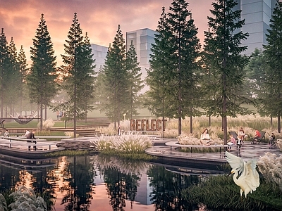 现代主义滨水景观 郊野公园 水景 芦苇 湿地