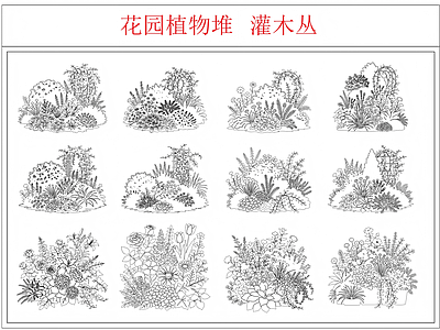 灌木种植 灌木丛