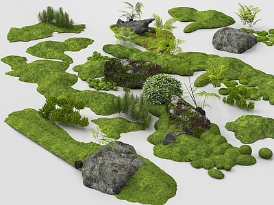禅意苔藓 微地形组合 石头植物组合