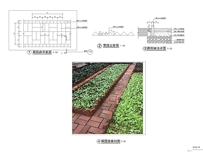 乡村振兴 菜地园路