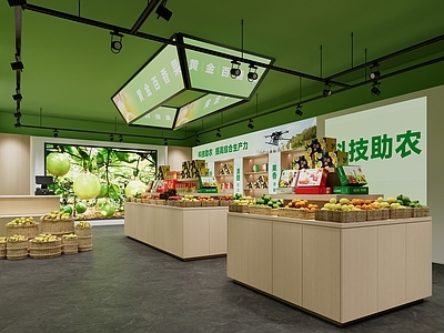 现代简约农产品展厅 农产品展厅 农产品博物馆 超市 商场