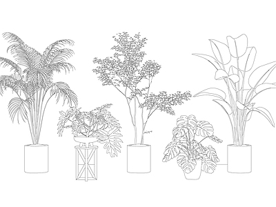 综合植物图库 盆栽