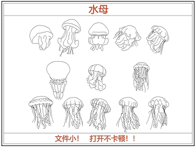 动物 海底海洋生物水母