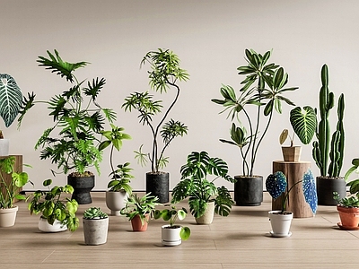北欧风花境 画境盆栽 绿植盆栽 植物盆栽 花箱