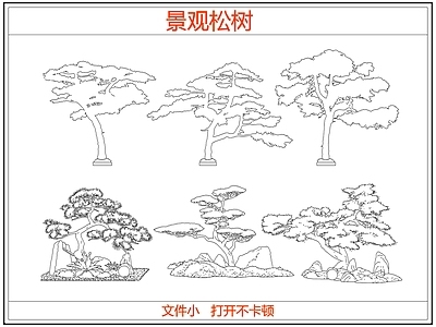 乔木种植 中式景观松树 迎客松罗汉松
