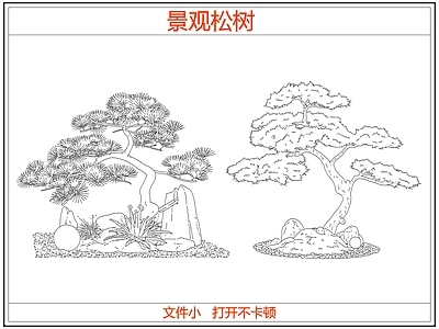 乔木种植 中式景观松树 迎客松罗汉松树