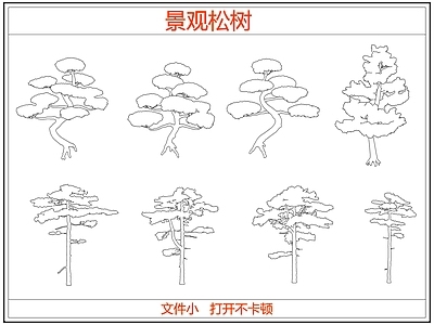 乔木种植 迎客松罗汉松树 中式景观松树
