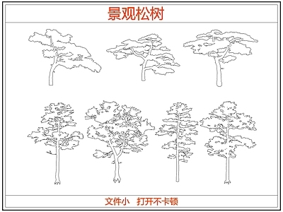 乔木种植 中式景观松树 迎客松罗汉松树