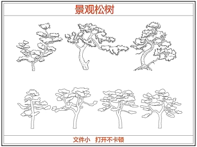 乔木种植 迎客松罗汉松树 中式景观松树