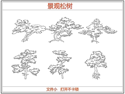 乔木种植 中式景观松树 迎客松罗汉松树
