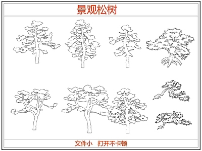 乔木种植 迎客松罗汉松树 中式景观松树