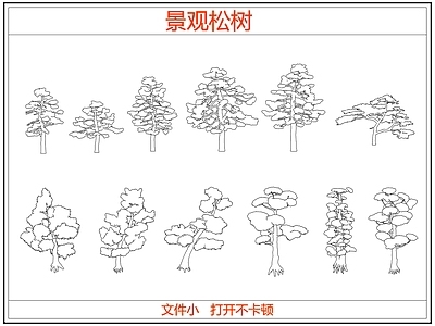 乔木种植 中式景观松树 迎客松罗汉松树