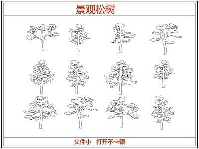 乔木种植 迎客松罗汉松树 中式景观松树