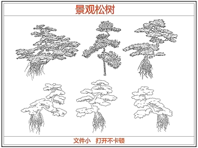 乔木种植 中式景观松树 迎客松罗汉松树