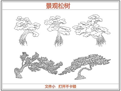 乔木种植 迎客松罗汉松树 中式景观松树