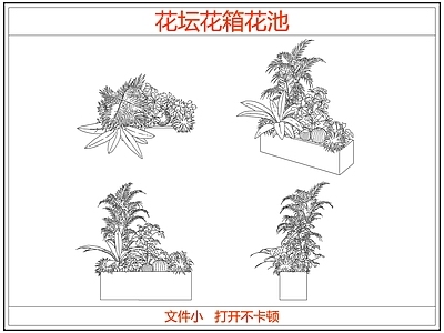 灌木种植 花坛花箱花池灌木