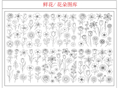 花 鲜花