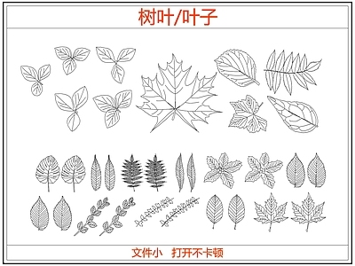 绿植 绿植树叶叶子