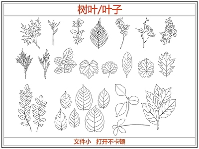 绿植 绿植树叶叶子
