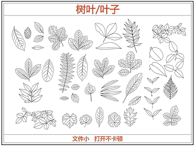 绿植 绿植树叶叶子