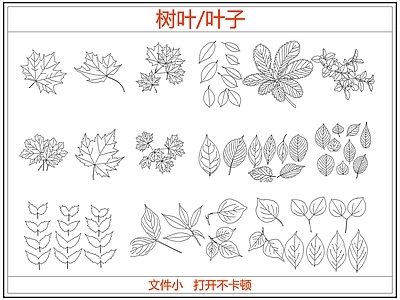绿植 绿植树叶叶子