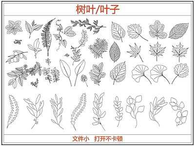 绿植 绿植树叶叶子