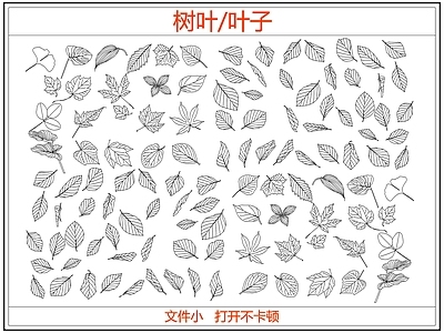绿植 绿植树叶叶子