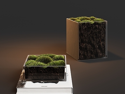 极简主义绿植摆件 植物盆栽苔藓摆件