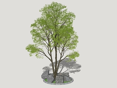 新中式景观灌木 常绿灌木 景观树 景观树池