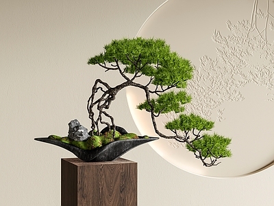 禅意盆景 松树盆栽 松树绿植摆件 松树花艺 迎客松