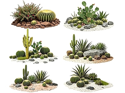 沙漠风沙漠植物 2D仙人掌组合 多肉植物 仙人球 沙漠植物造景 景观植物
