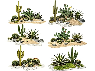 荒漠风造景沙漠植物 2D仙人掌组合 多肉植物 仙人球 沙漠植物造景 景观植物