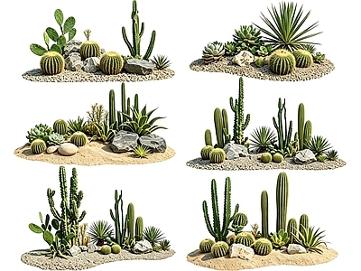 热带沙漠风沙漠植物 2D仙人掌组合 多肉植物 仙人球 沙漠植物造景 景观植物