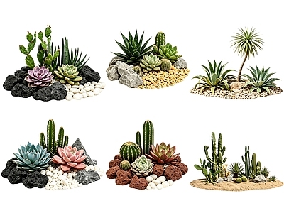 沙漠风沙漠植物 2D仙人掌组合 多肉植物 仙人球 沙漠植物造景 景观植物